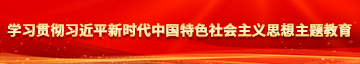 操我屄啊…学习贯彻习近平新时代中国特色社会主义思想主题教育